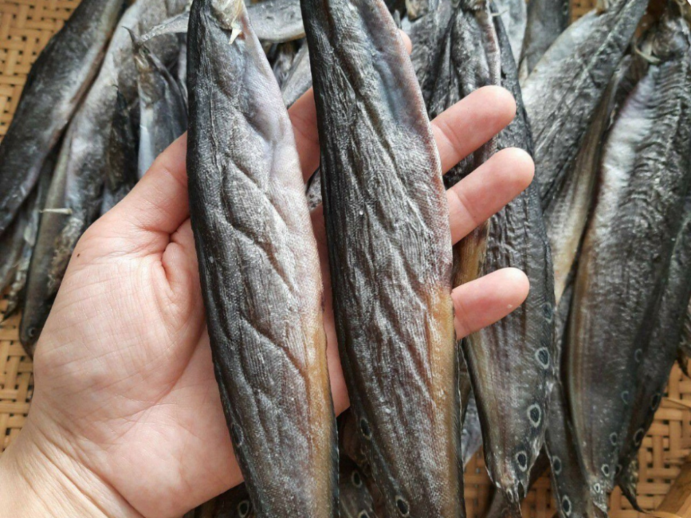Khô Cá Chạch – Tinh Hoa Ẩm Thực Miền Tây Sông Nước