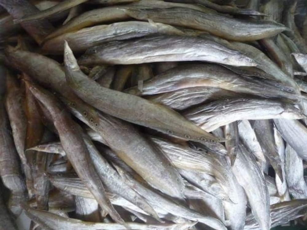 Khô Cá Chạch – Tinh Hoa Ẩm Thực Miền Tây Sông Nước